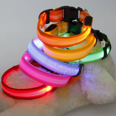 Pet Dog LED Glowing Luminous Night Safety Collar