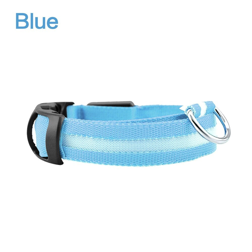 Pet Dog LED Glowing Luminous Night Safety Collar