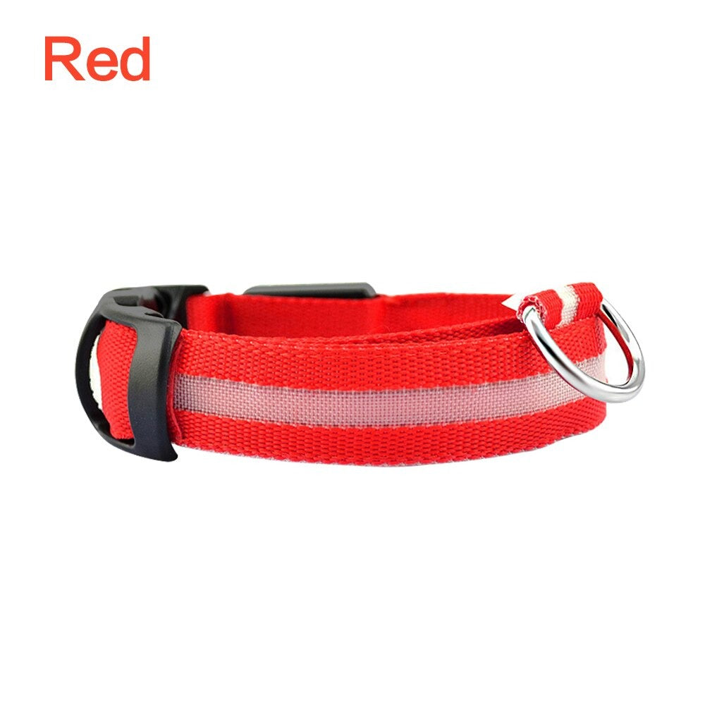 Pet Dog LED Glowing Luminous Night Safety Collar